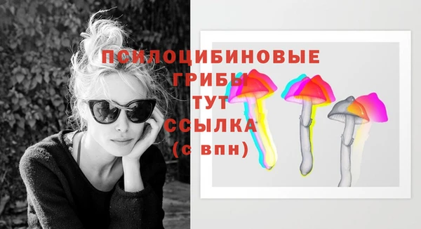 синтетический гашиш Верхний Тагил