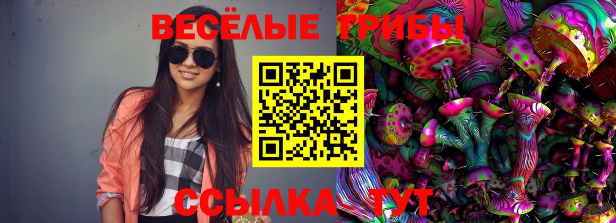 Псилоцибиновые грибы Magic Shrooms  Мариинск 